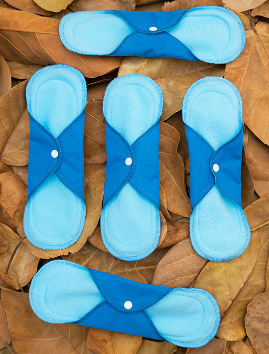 Eradicating period poverty via Kalyanis